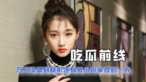 娱乐圈吃瓜大妈小说,揭秘明星背后的秘密与八卦风云