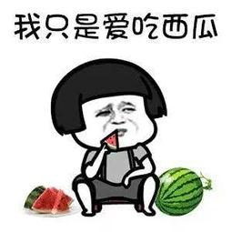 娱乐圈吃瓜爆料吃瓜,揭秘明星背后的秘密与八卦