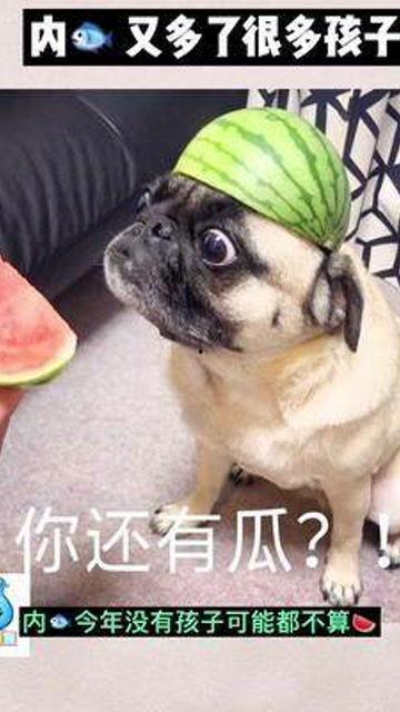 娱乐圈子吃瓜群众是谁啊