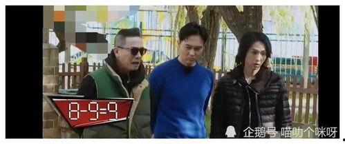 吃瓜娱乐爆料姐弟恋,姐弟恋风波，娱乐圈再掀波澜