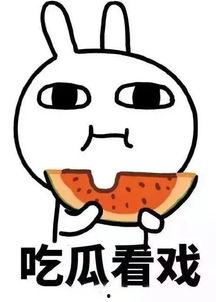 每日吃瓜娱乐ing