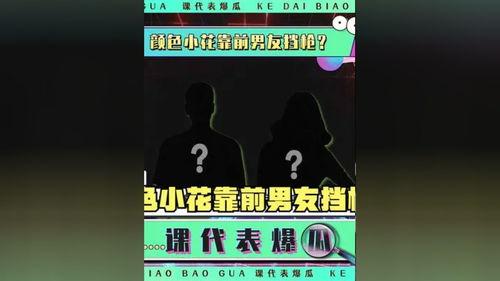 娱乐爆料吃瓜八卦图,吃瓜图鉴，揭秘明星幕后故事